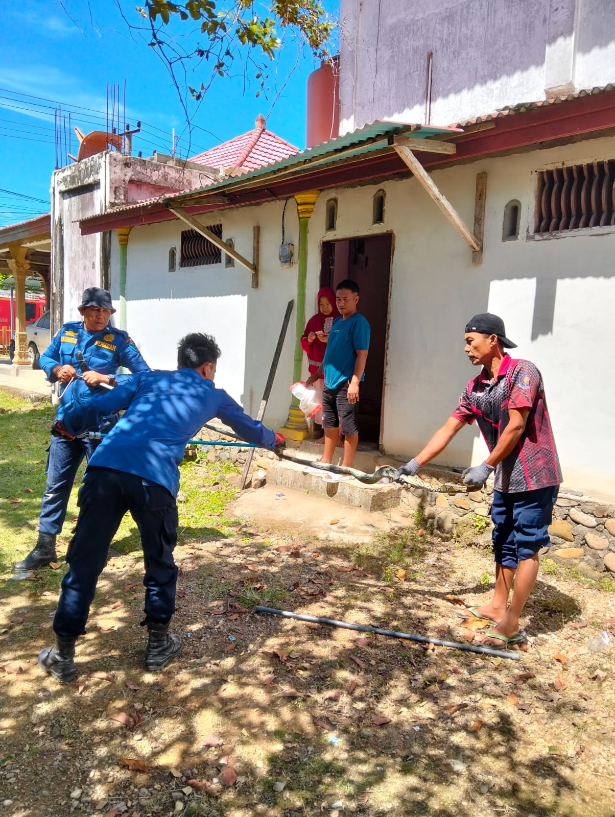 PEMADAM KEBAKARAN MELAKUKAN EVAKUASI ULAR