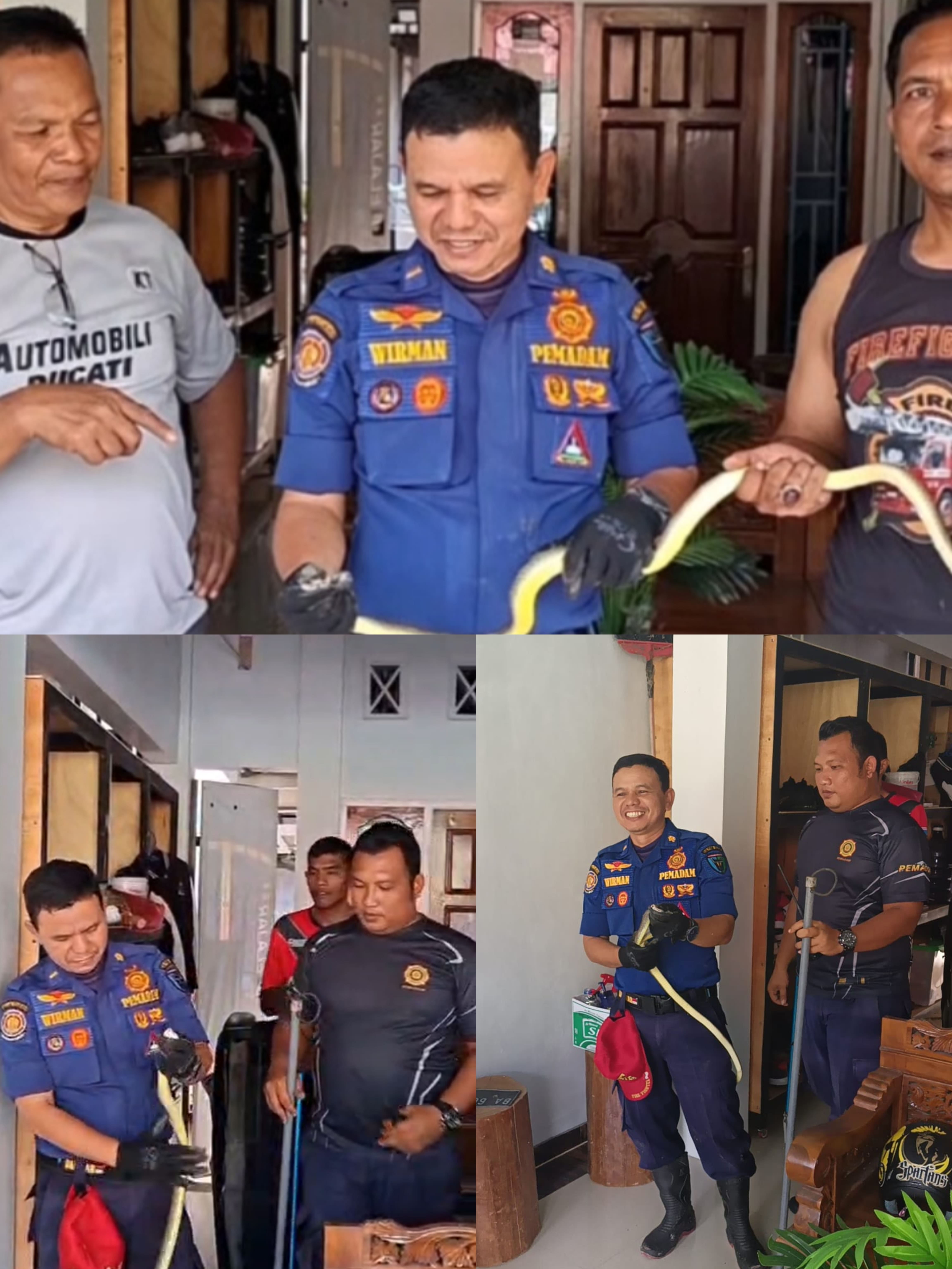 Evakuasi Ular Di Dalam Rumah Warga.