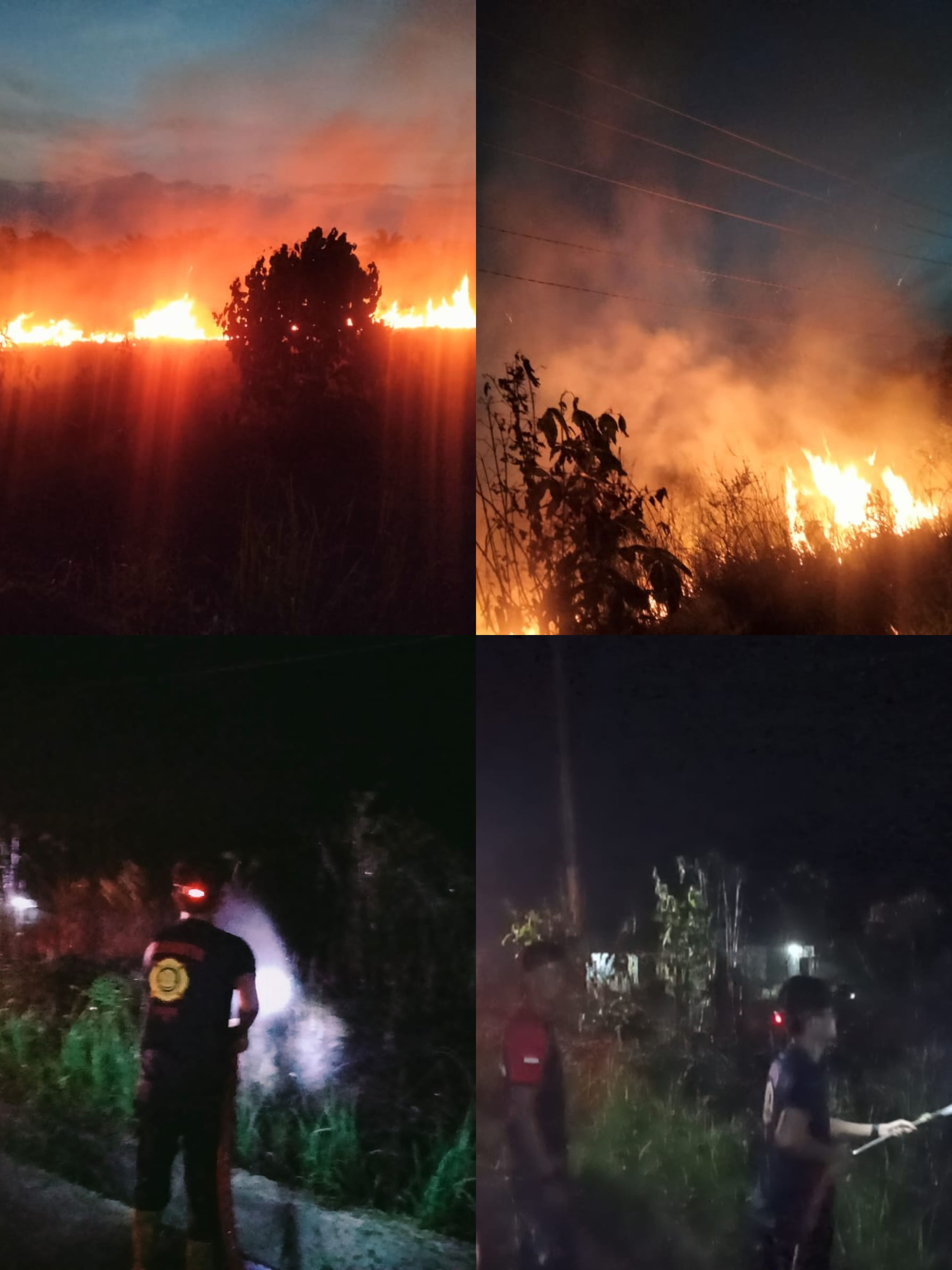 Kebakaran Lahan Di Lunang