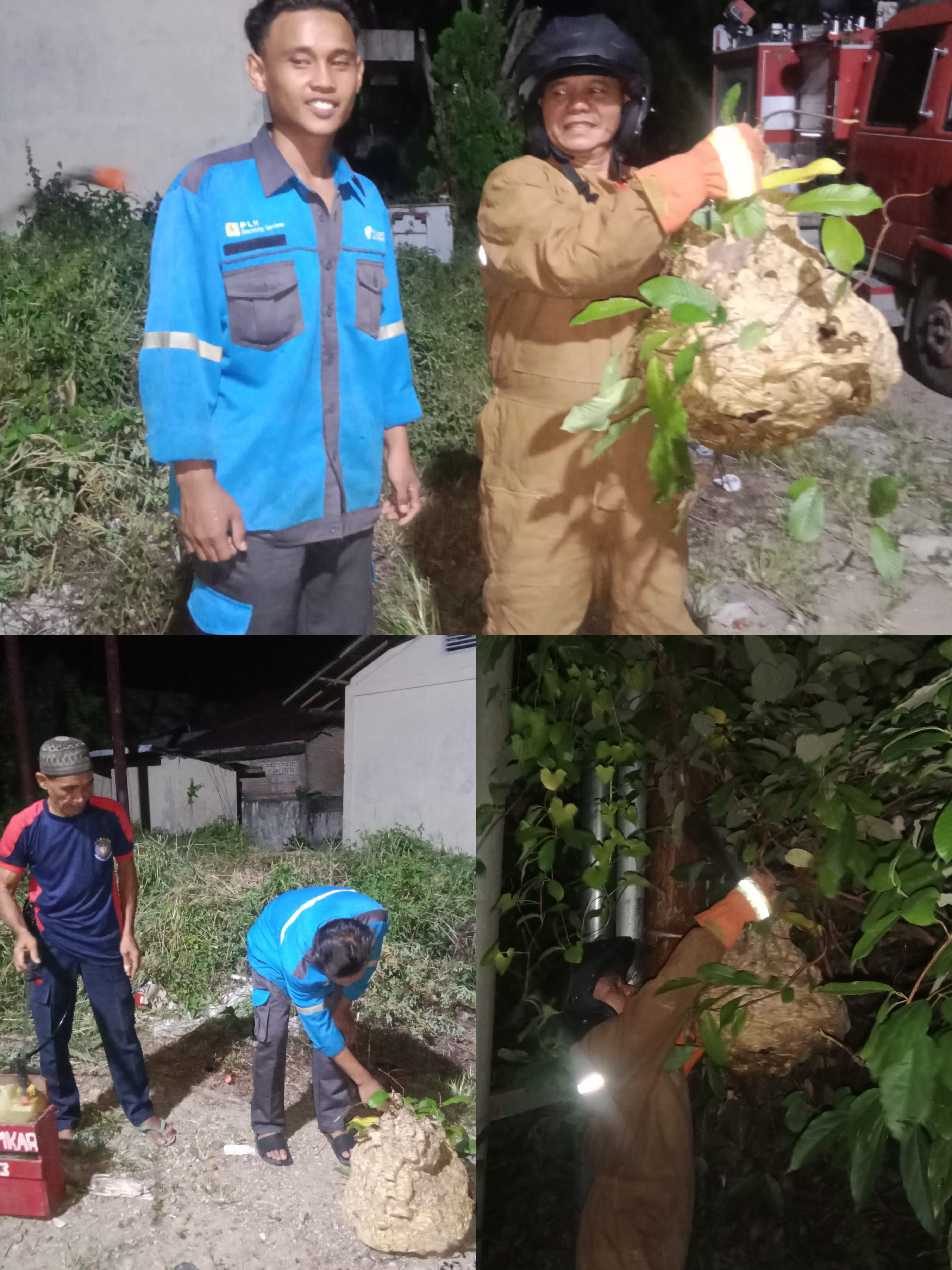 EVAKUASI SARANG TAWON di Komplek Bangunan PLN
