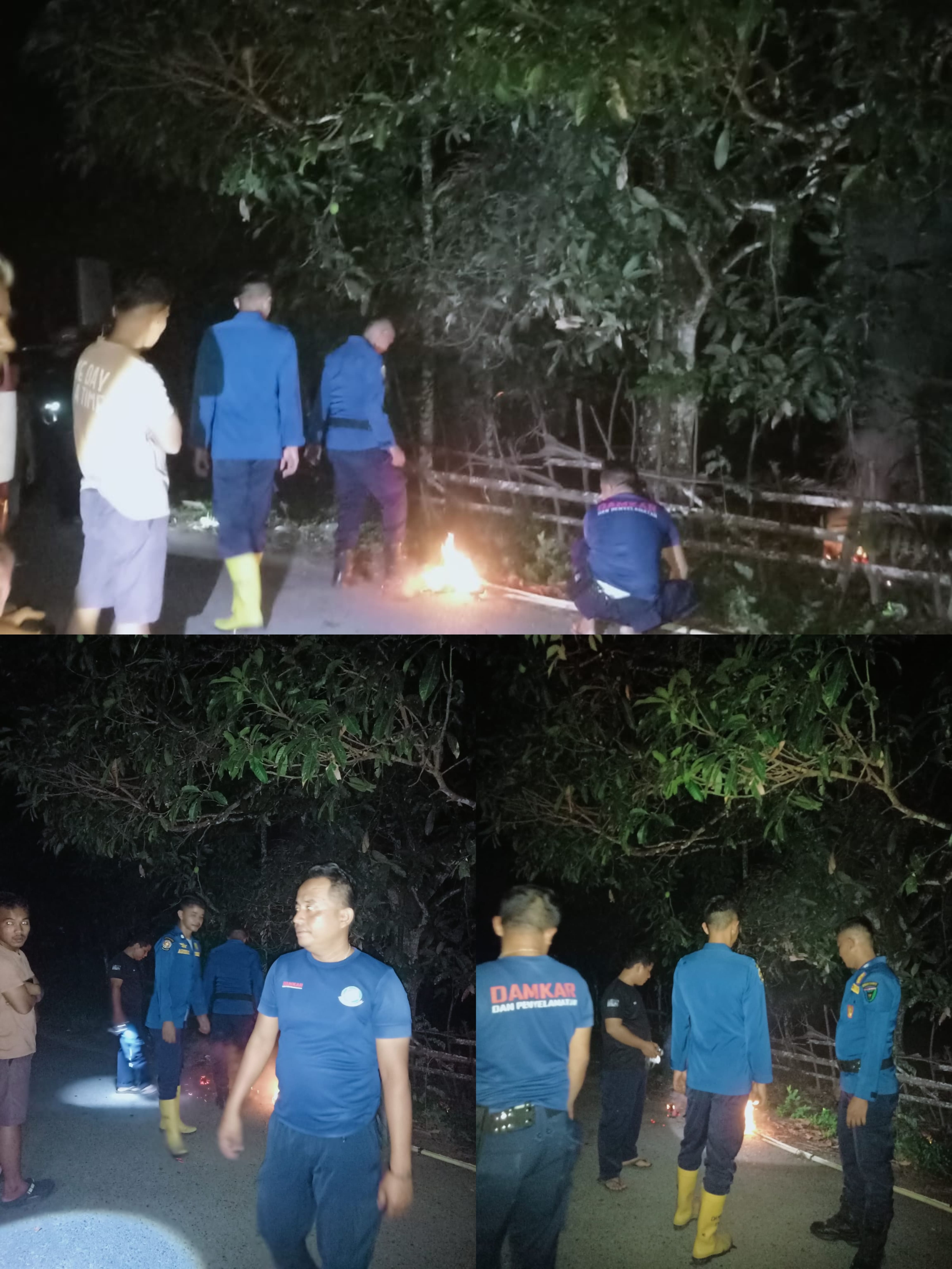 EVAKUASI TAWON di TARUSAN